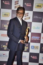 Amitabh Bachchan at Radio Mirchi music awards red carpet in Mumbai on 7th Feb 2013 (159).JPG